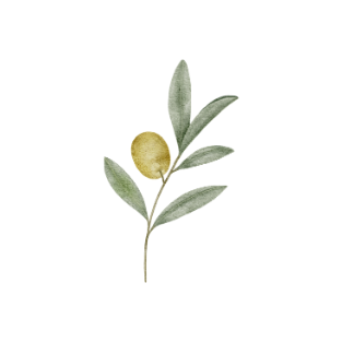 feuille_olivier_aquarelle_jaune